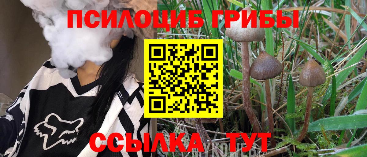 Хабаровск  Галлюциногенные грибы Psilocybe  Вход с VPN  Галлюциногенные грибы Psilocybine cubensis 