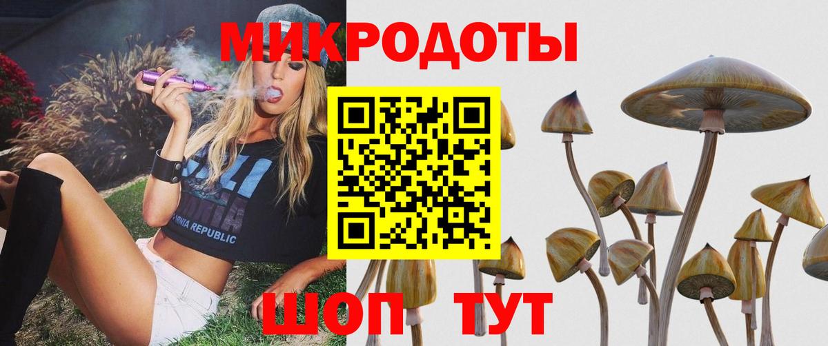 Галлюциногенные грибы MAGIC MUSHROOMS Хабаровск
